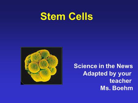 Stem Cells Science in the News Adapted by your teacher Ms. Boehm.