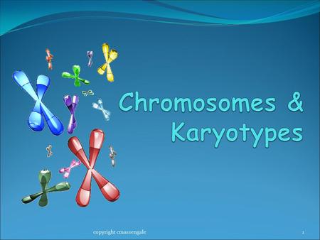1copyright cmassengale. Chromosomes 2 Chromosome Number All cells in the human body (SOMATIC CELLS) have 46 or 23 pairs of chromosomes Called the DIPLOID.