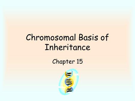 Chromosomal Basis of Inheritance Chapter 15. Genetic work done on fruit flies - takes little time to observe many generations. Thomas Morgan - fruit fly.