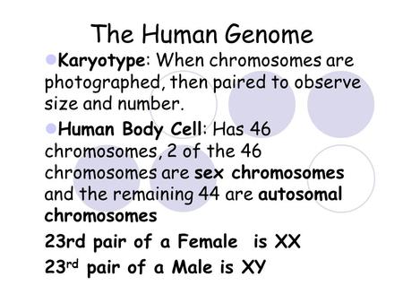 The Human Genome Karyotype: When chromosomes are photographed, then paired to observe size and number. Human Body Cell: Has 46 chromosomes, 2 of the 46.