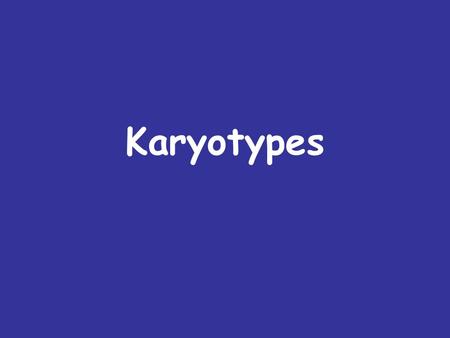 Karyotypes. Karyotypes are pictures of homologous chromosomes lined up together during metaphase I of meiosis. There are 44 autosomes and 2 sex chromosomes.