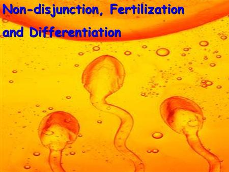 Non-disjunction, Fertilization and Differentiation.