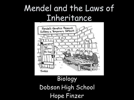 Mendel and the Laws of Inheritance Biology Dobson High School Hope Finzer.