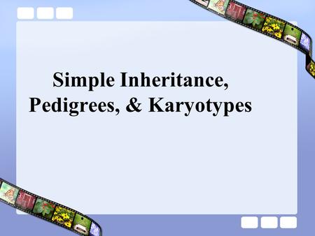 Simple Inheritance, Pedigrees, & Karyotypes Pedigrees Similar to family trees graphicA graphic representation of genetic inheritance.
