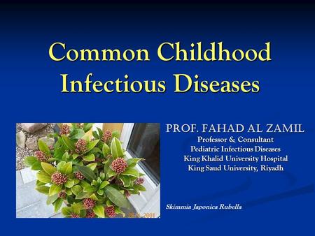 Common Childhood Infectious Diseases