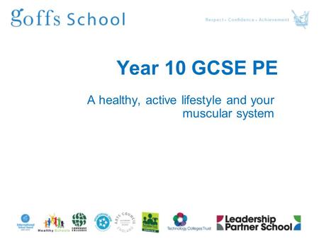 Year 10 GCSE PE A healthy, active lifestyle and your muscular system.
