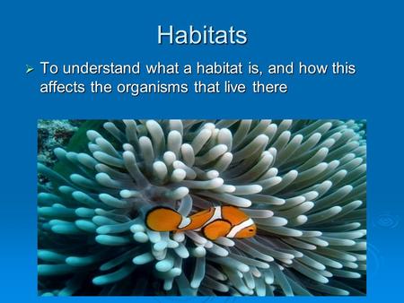 Habitats  To understand what a habitat is, and how this affects the organisms that live there.