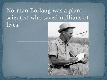 Norman Borlaug was a plant scientist who saved millions of lives. E. Napp.