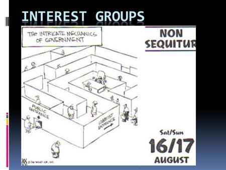 Interest Group are:  Organizations composed of individuals who share one or more interests in common and who have formed an association for their purpose.