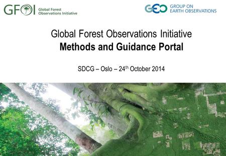 Global Forest Observations Initiative Methods and Guidance Portal SDCG – Oslo – 24 th October 2014.