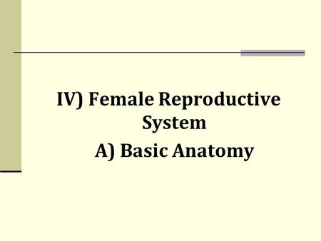 IV) Female Reproductive System