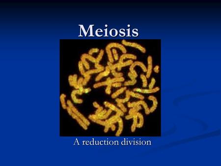 Meiosis A reduction division. Meiosis Multi-celled organisms Multi-celled organisms produce gametes produce gametes (cells) through the process (cells)