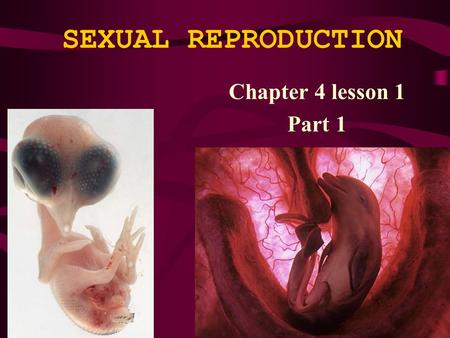 SEXUAL REPRODUCTION Chapter 4 lesson 1 Part 1.