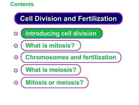 Cell Division and Fertilization Contents Introducing cell division What is mitosis? What is meiosis? Mitosis or meiosis? Chromosomes and fertilization.