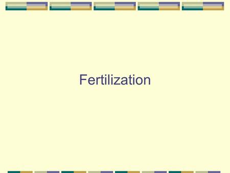 Fertilization Passage of sperm: