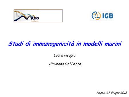 Studi di immunogenicità in modelli murini Laura Pisapia Giovanna Del Pozzo Napoli, 27 Giugno 2013.