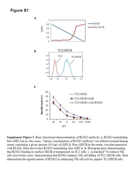 Figure S1 b a c Supplement Figure 1. Basic functional characterization of B10G5 antibody. a. B10G5 neutralizing free sMICA in in vitro assay. Various concentration.