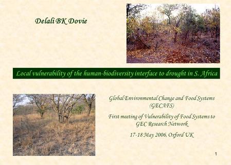 1 Delali BK Dovie Global Environmental Change and Food Systems (GECAFS) First meeting of Vulnerability of Food Systems to GEC Research Network 17-18 May.