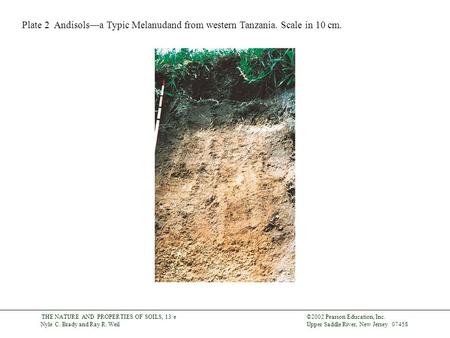 ©2002 Pearson Education, Inc. Upper Saddle River, New Jersey 07458 THE NATURE AND PROPERTIES OF SOILS, 13/e Nyle C. Brady and Ray R. Weil Plate 2 Andisols—a.