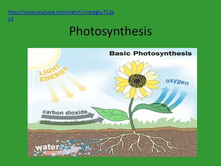 Http://www.youtube.com/watch?v=pdgkuT12e14 Photosynthesis.