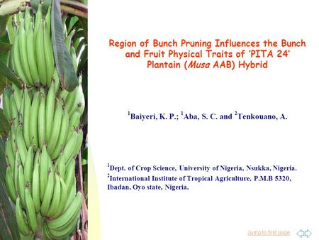 Jump to first page IeCAB2010 held 1-15 June 2010 Region of Bunch Pruning Influences the Bunch and Fruit Physical Traits of ‘PITA 24’ Plantain (Musa AAB)