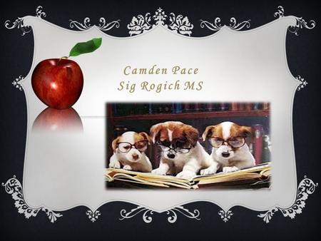 Camden Pace Sig Rogich MS. WELCOME! English & Reading 6.
