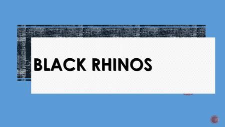 BLACK RHINOS. LIFE  Mammals  South and central Africa  Savanna  Live alone  Territory.