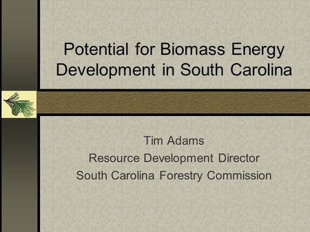 Potential for Biomass Energy Development in South Carolina Tim Adams Resource Development Director South Carolina Forestry Commission.