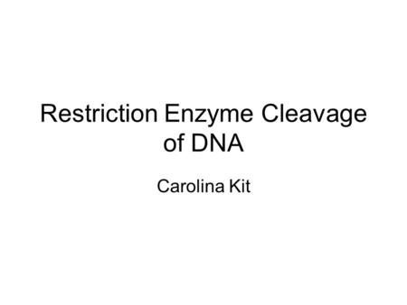Restriction Enzyme Cleavage of DNA
