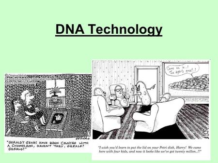 DNA Technology. 1.Isolation – of the DNA containing the required gene 2.Insertion – of the DNA into a vector 3.Transformation – Transfer of DNA into a.