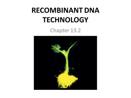 RECOMBINANT DNA TECHNOLOGY