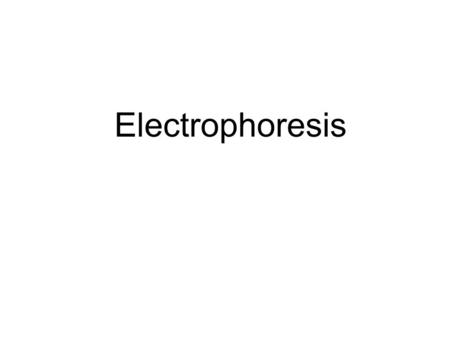 Electrophoresis. A process that is used to sort fragments of DNA by placing the digested DNA in a special gel and adding electricity.