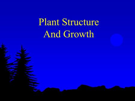 Plant Structure And Growth. The Plant Body is Composed of Cells and Tissues l Tissue systems l made up of tissues l made up of cells.