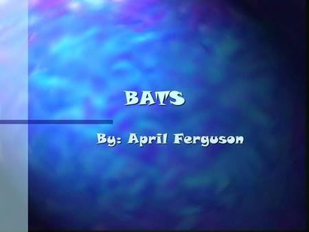BATS By: April Ferguson. Appearance n Bats are small. n Their bodies are mouselike. n Their faces are wrinkled. n Their claws are gasping, ears pointed.