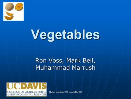 Photos courtesy UCD vegetable RIC Vegetables Ron Voss, Mark Bell, Muhammad Marrush.