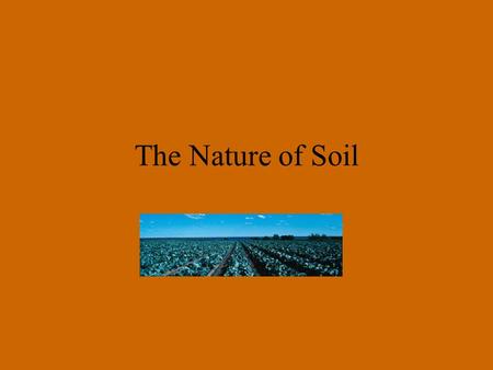 The Nature of Soil. there is an increasing demand for food and an increased pressure on agricultural systems which includes soil use and management.