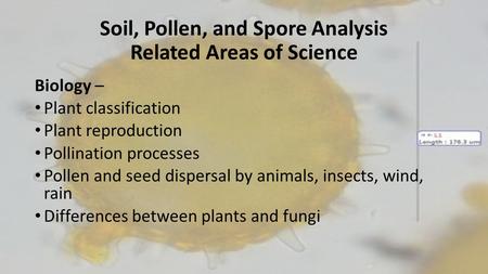 Soil, Pollen, and Spore Analysis Related Areas of Science Biology – Plant classification Plant reproduction Pollination processes Pollen and seed dispersal.