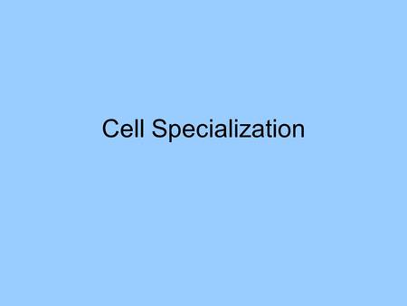 Cell Specialization. Unicellular organism – consists of only one cell –That one cell carries out all functions required to maintain the life of the organism.