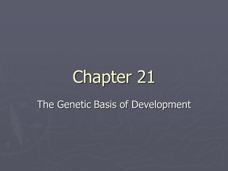 Chapter 21 The Genetic Basis of Development. Introduction The development of a multicellular organism from a single cell is one of the most fascinating.