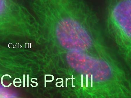 Cells Part III Cells III. Cell Theory 1. The cell is the smallest unit of life. 2. All organisms are made from one or more cells. 3. Cells arise from.