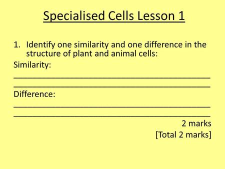 1.Identify one similarity and one difference in the structure of plant and animal cells: Similarity: __________________________________________ __________________________________________.