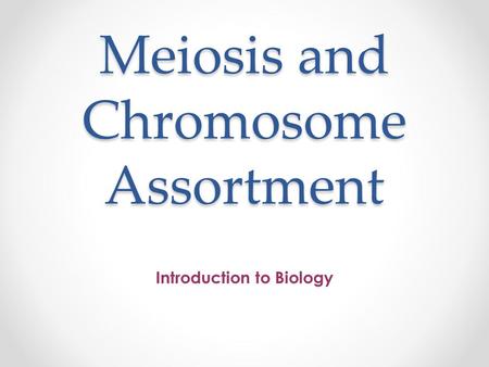 Meiosis and Chromosome Assortment