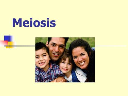 Meiosis. Heredity Passing of genetic traits from parent to offspring Chromosome theory of heredity Chromosomes carry genes Gene = unit of heredity.