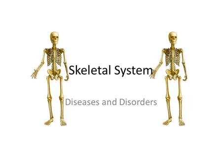 Skeletal System Diseases and Disorders. Spina Bifida The spinal cord does not form properly and as a result the vertebrae and skin can not form around.