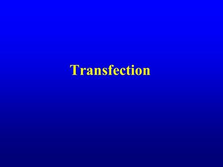 Transfection.