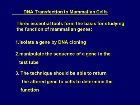 DNA Transfection to Mammalian Cells Three essential tools form the basis for studying the function of mammalian genes: 1.Isolate a gene by DNA cloning.