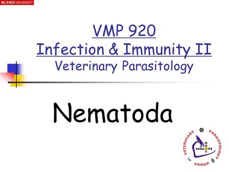 Nematoda VMP 920 Infection & Immunity II Veterinary Parasitology.