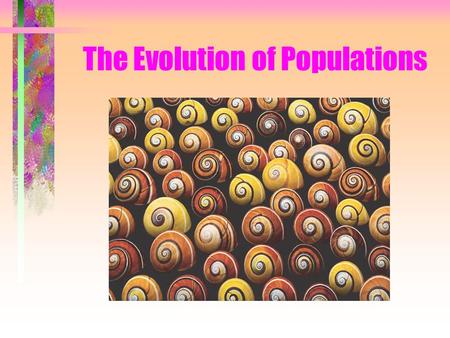 The Evolution of Populations. Population genetics Population: –a localized group of individuals belonging to the same species Species: –a group of populations.