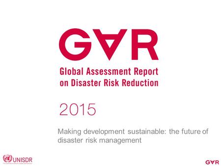 Making development sustainable: the future of disaster risk management.