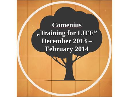 Between 3rd and 8th December 2013, our school was the host of the 2nd project meeting of Comenius „Training for LIFE”